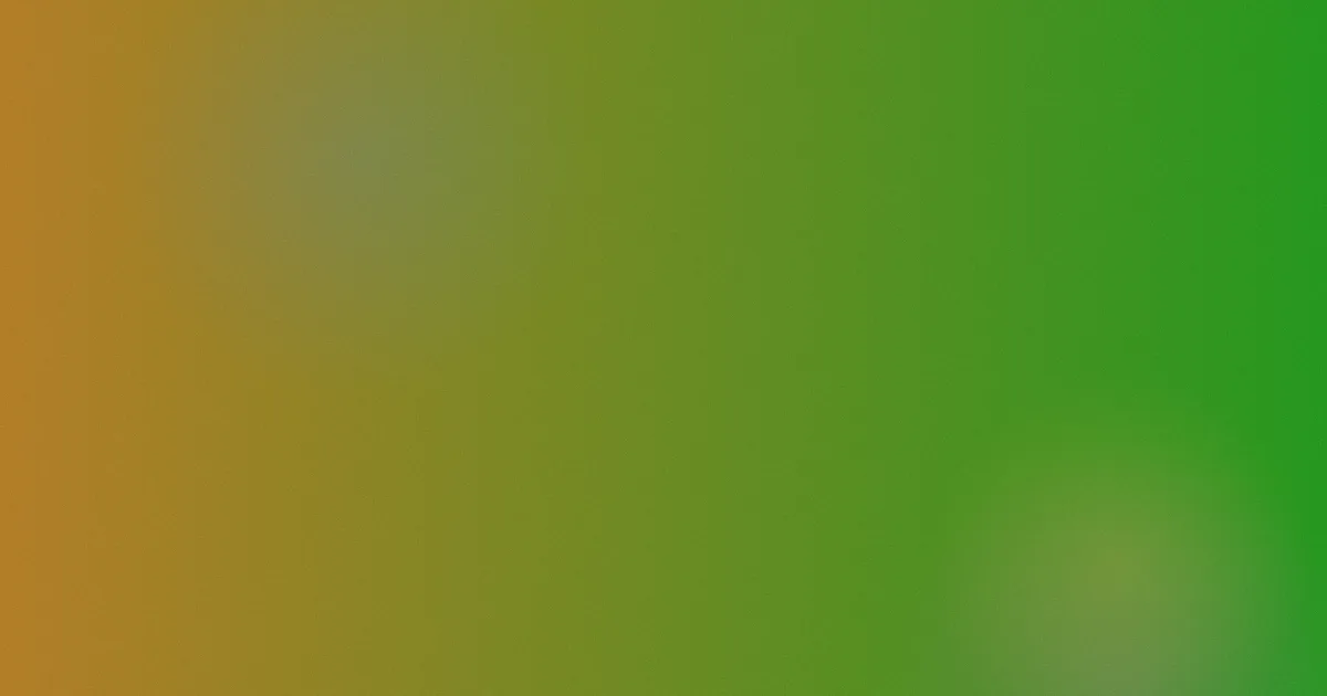 三毛流浪记演员表值得吗